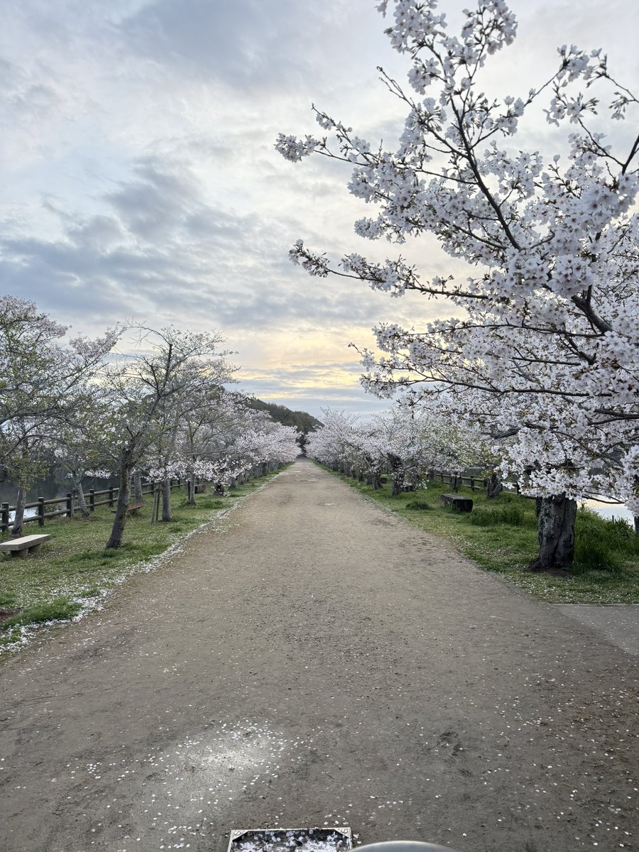 ほーすけ tweet media