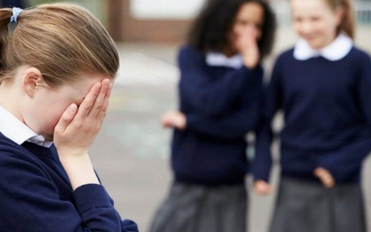 Cápsula Informativa.cl tweet media