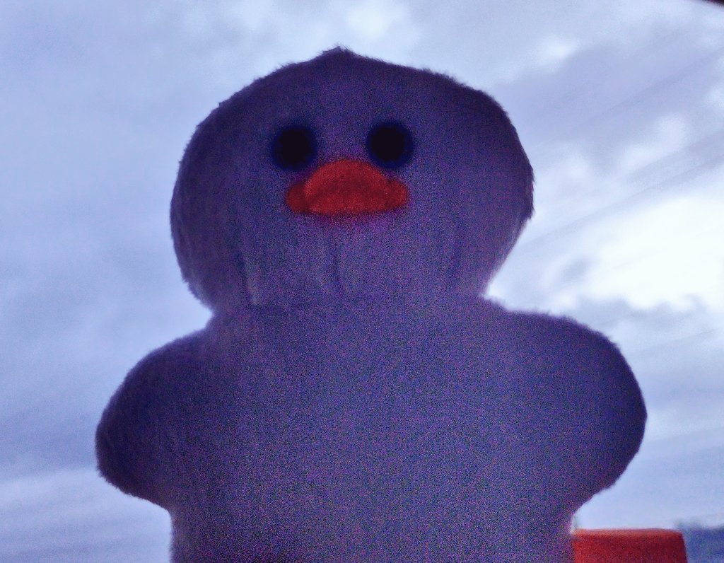 RitaYayla's tweet image. はや　おき　トリ
おはよ〜🐥🎶
#Mojojojo　#ぬい撮り