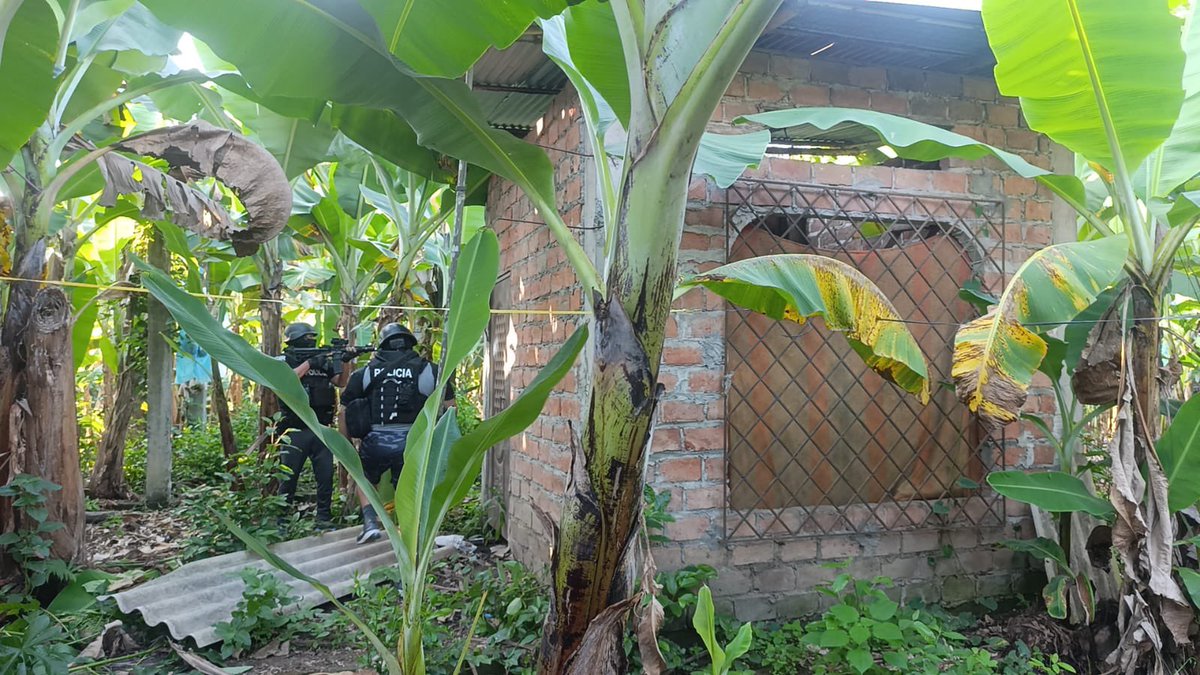 John Reimberg tweet media