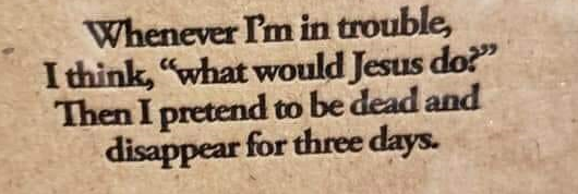 tech-net.tv tweet media