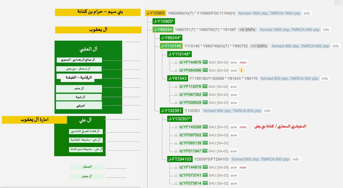 يسرّ مشروع بني كنانة الجيني الإعلان عن ظهور نتيجة عيّنة نوعية جديدة للأستاذ / حسين بن عثمان بن إبراهيم بن مفرّح بن عبدالله بن دهيشر 
من قبيلة بني سحار - كنانة بني يعلى 

ينتمي صاحب العيّنة إلى بيت علم ووجاهة وفيهم مشيخة بني سحار الحالية ، حيث أنَّ /
جدّه / إبراهيم بن مفرّح
كان