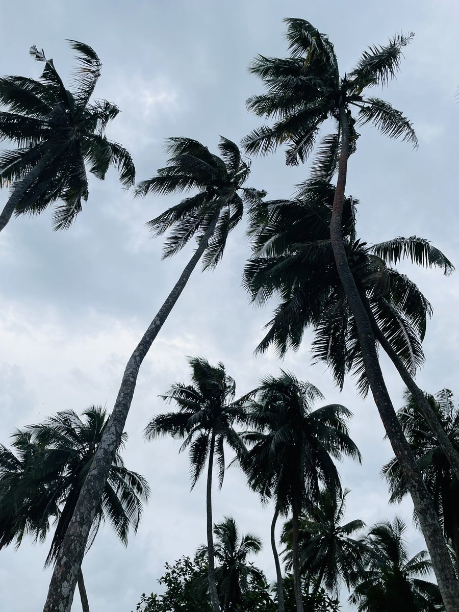 Filesta ☮️ tweet media