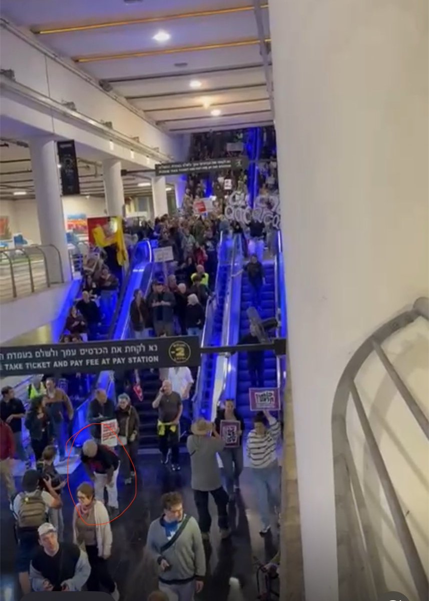 Michal Peylan • מיכל פעילן tweet media