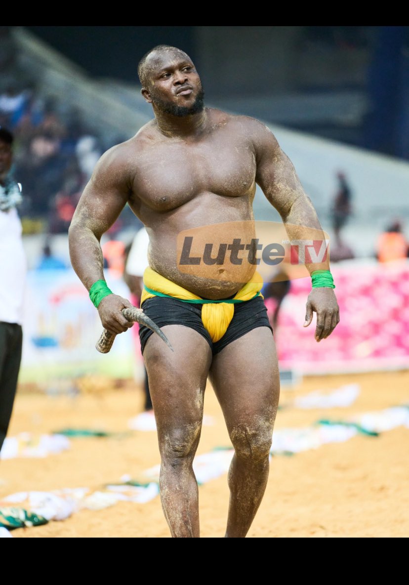 Modibo🇸🇳𓃵 tweet media