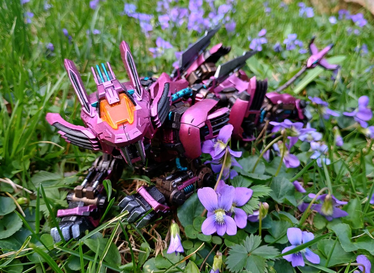 AuroraLion tweet media