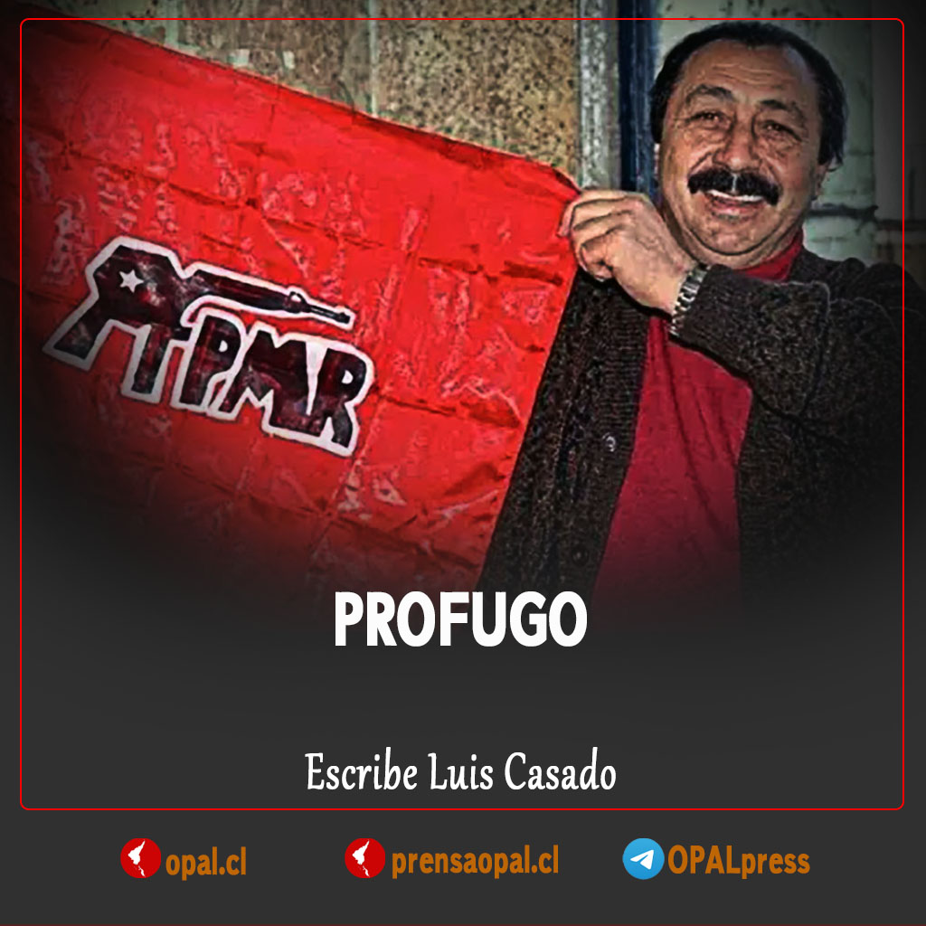 OPAL prensa tweet media