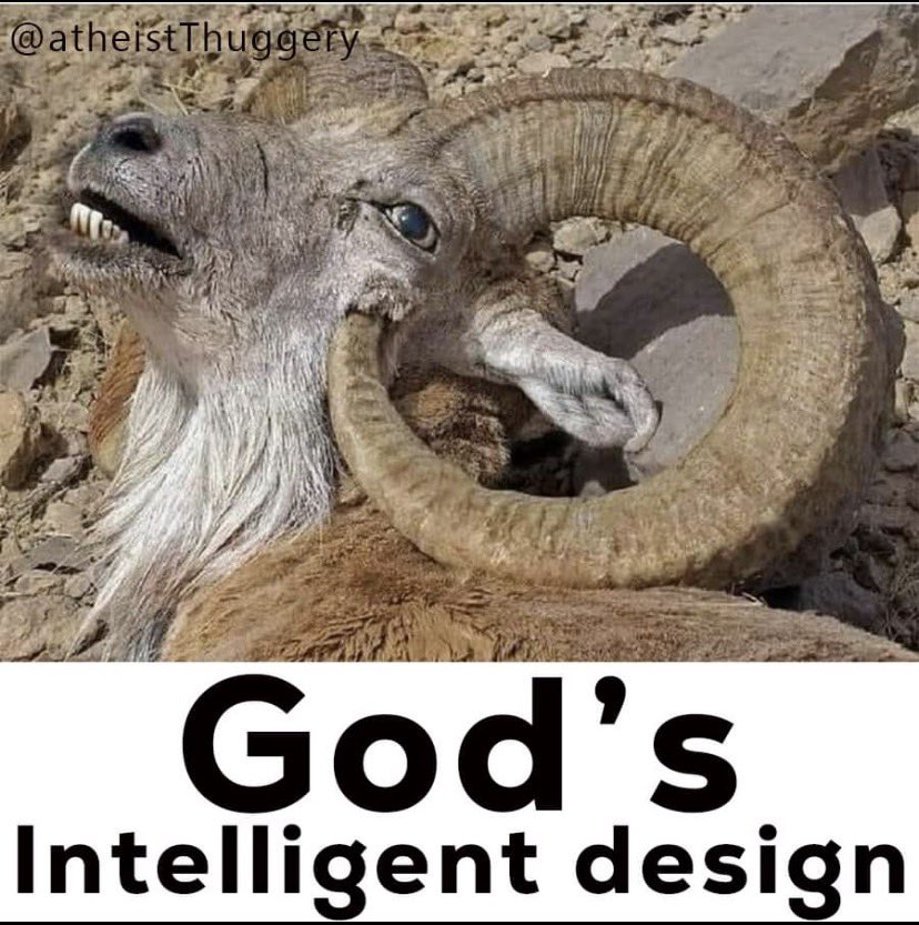 SANSAR SANCHO tweet media