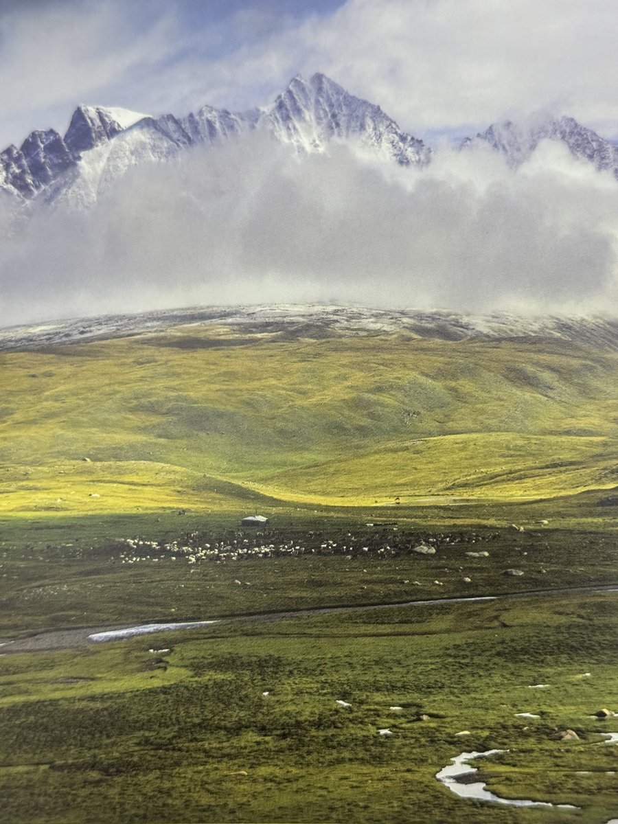 Хөх Толбот🇲🇳 tweet media