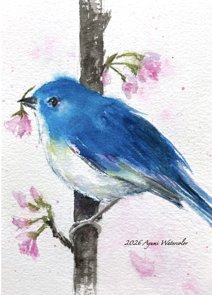 あゆみ tweet media