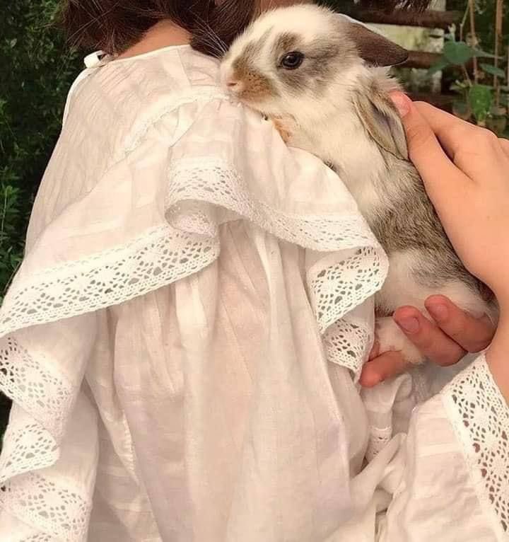 avarie ෆ luvs crvt 🍋 tweet media