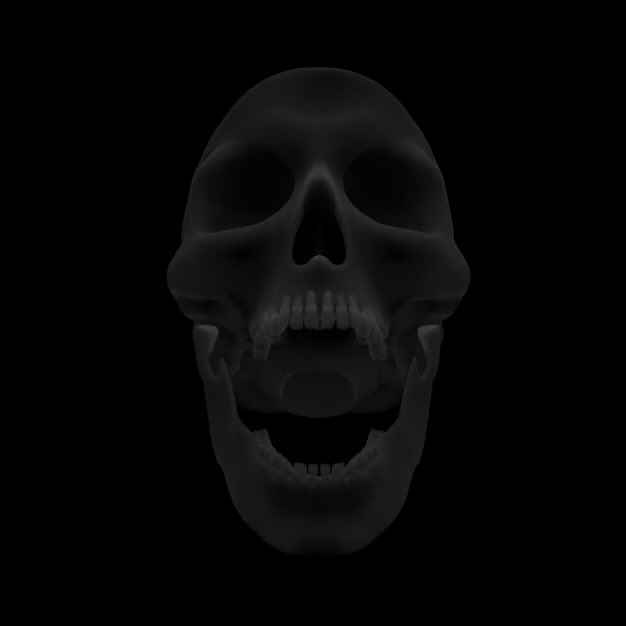 Nicolás Fuentes tweet media