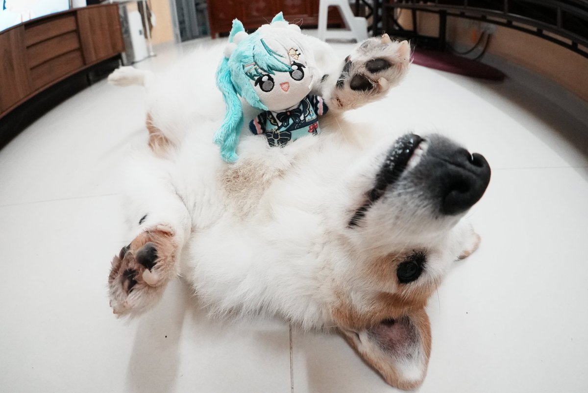 復活節周圍去
1：新座騎
2：和toffee合照
3：真。股巨基
4：反智轉身
#人人有比
#有色芝士