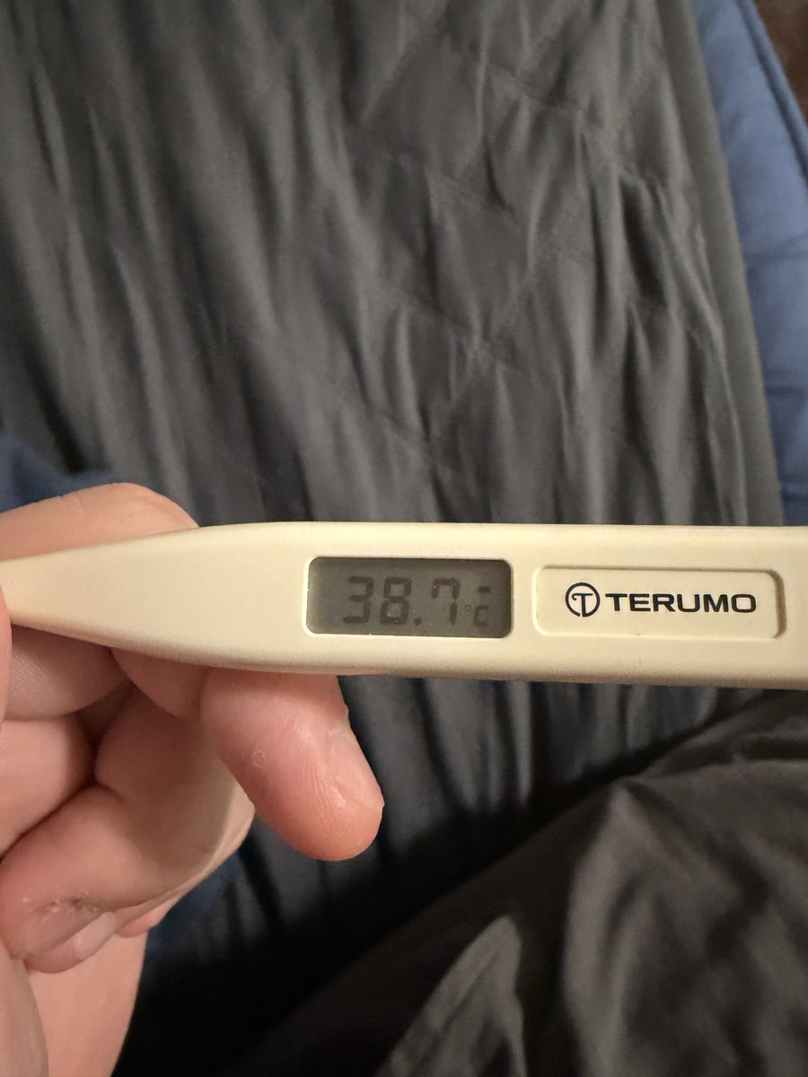 せるしうす tweet media