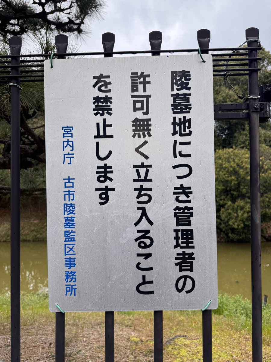 若専G Season 2.1 tweet media