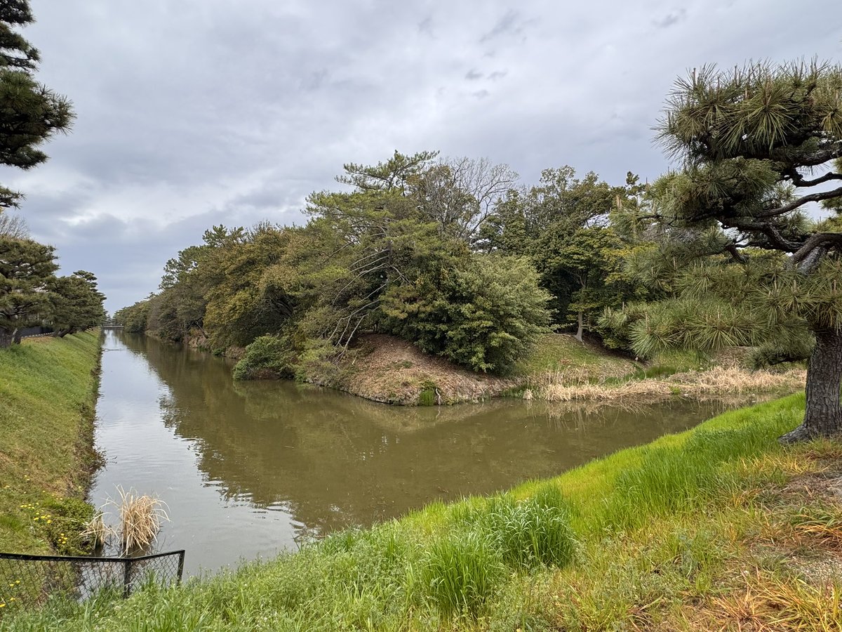 若専G Season 2.1 tweet media