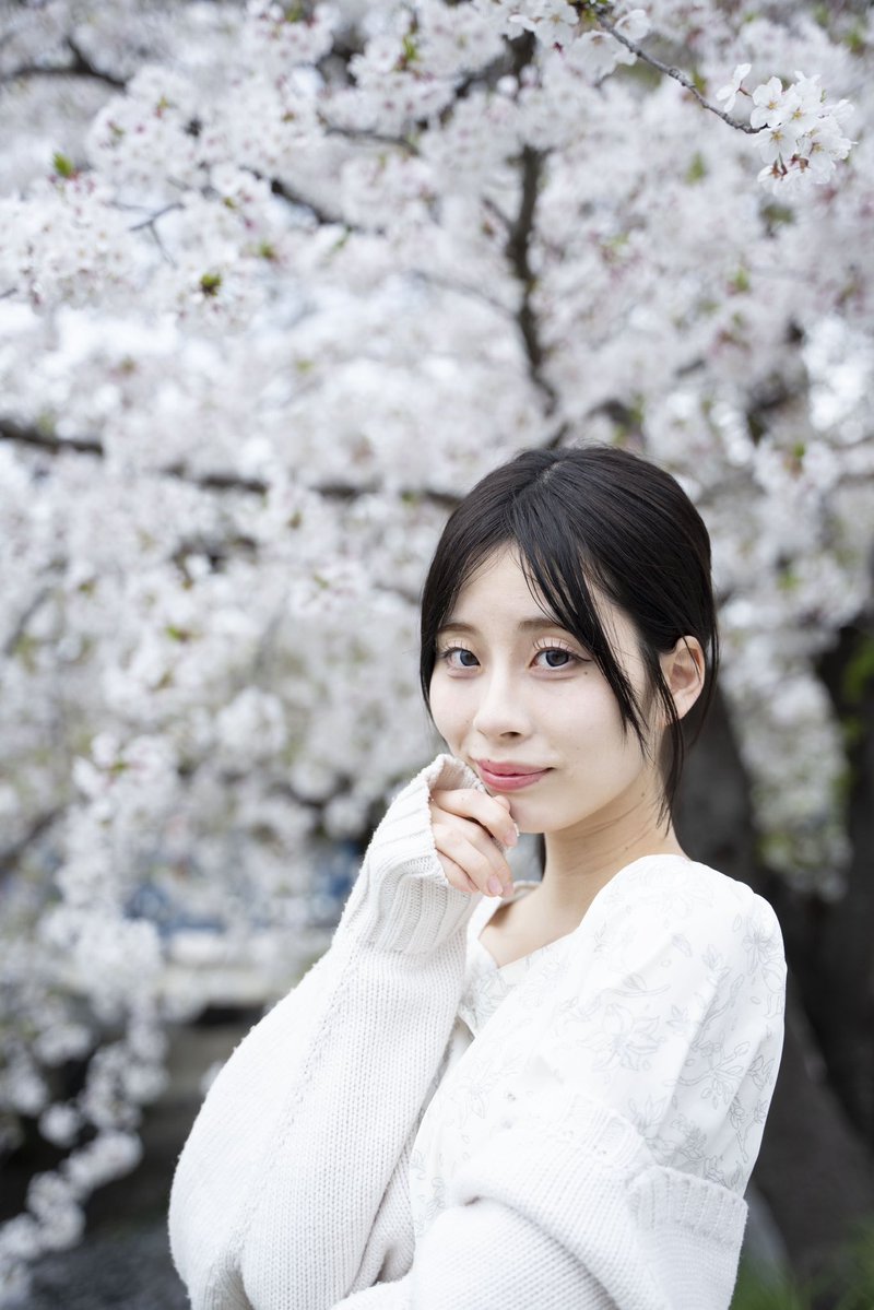 RARE撮影会 (<a href="/RARE___photo/">RARE撮影会</a> )
model:直井さきさん(<a href="/sa_ki_2005/">直井さき</a> )
location: 桜撮影@五条川周辺

#RARE撮影会 
#ポートレート 
#被写体募集 
#写真好きな人と繋がりたい