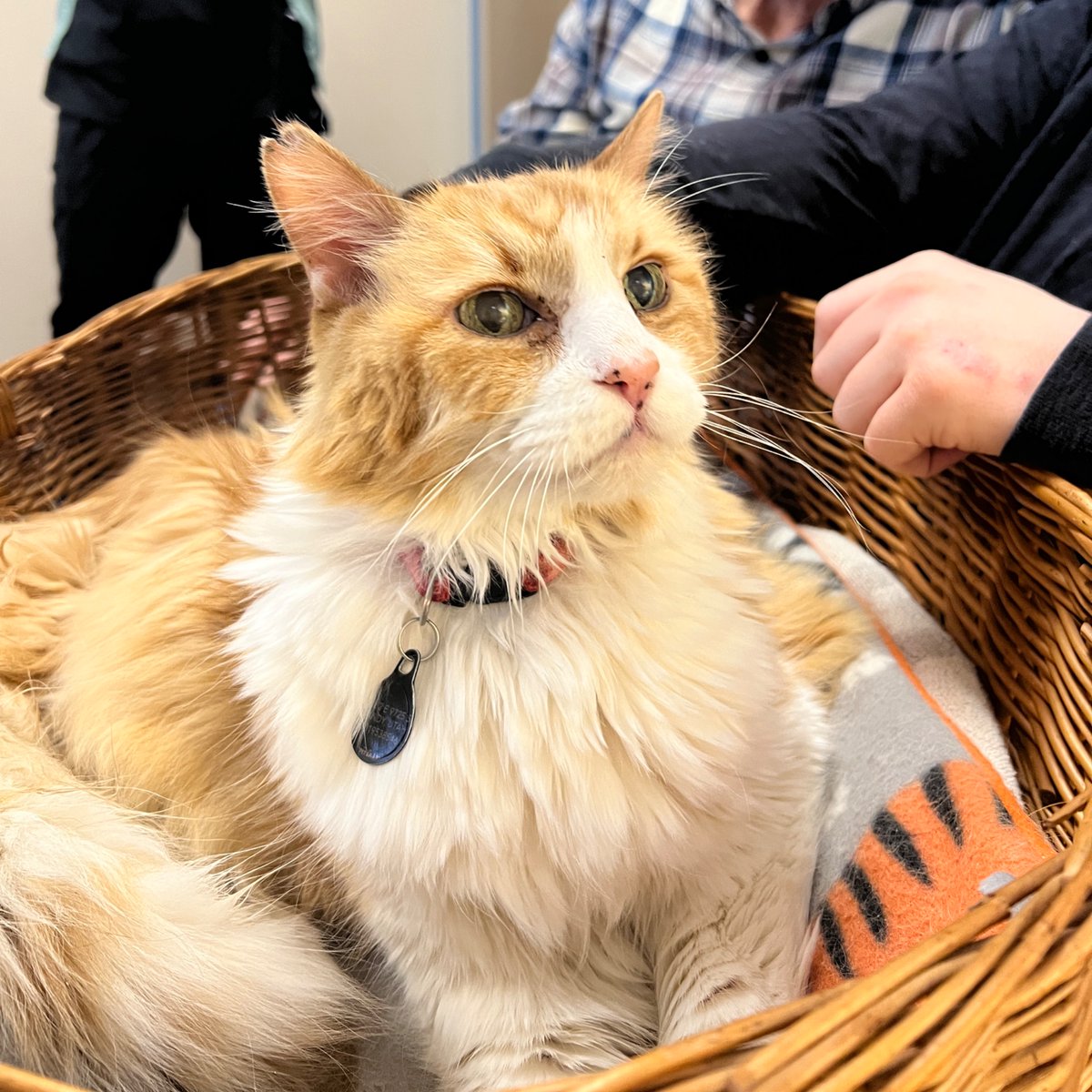 Cera Gibson tweet media