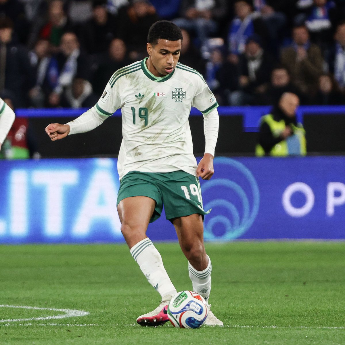 Paul Frew tweet media