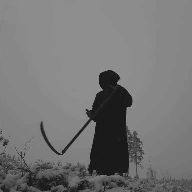 Sergi080 tweet media