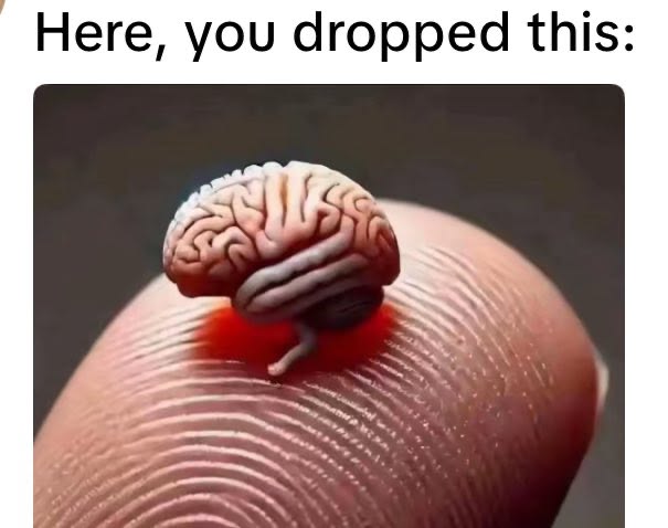 mouaad31🇵🇸☪️⚔️ tweet media