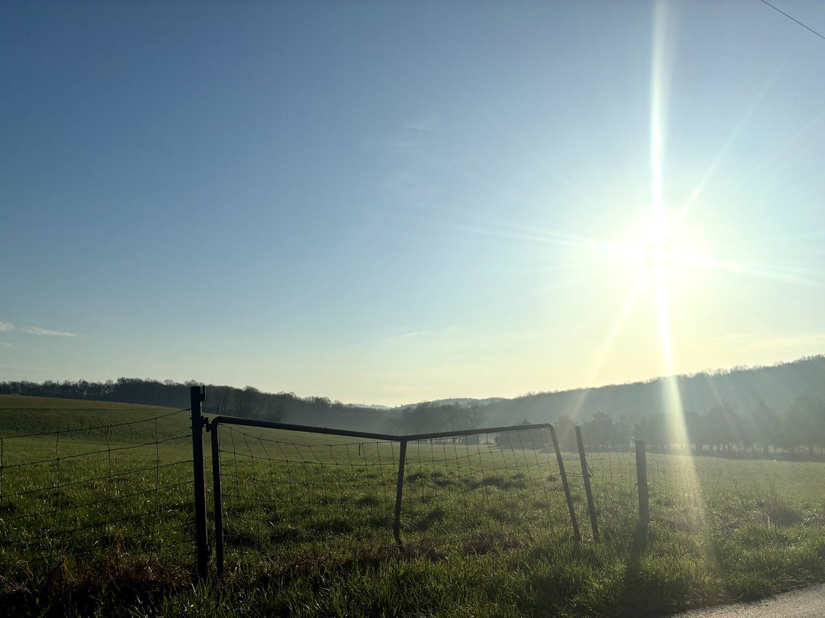 Commissioner Josh Parsons tweet media