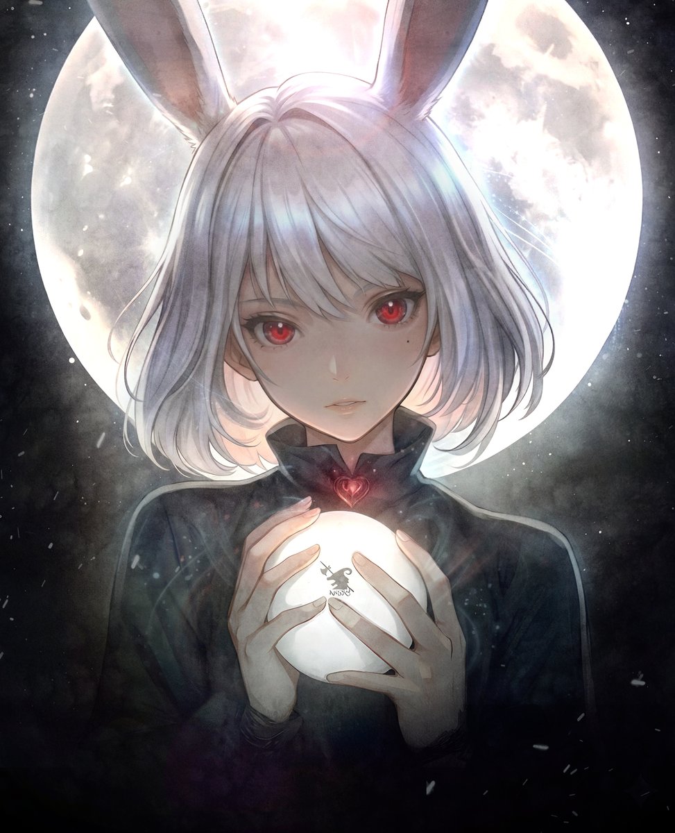 猫ドッグ tweet media