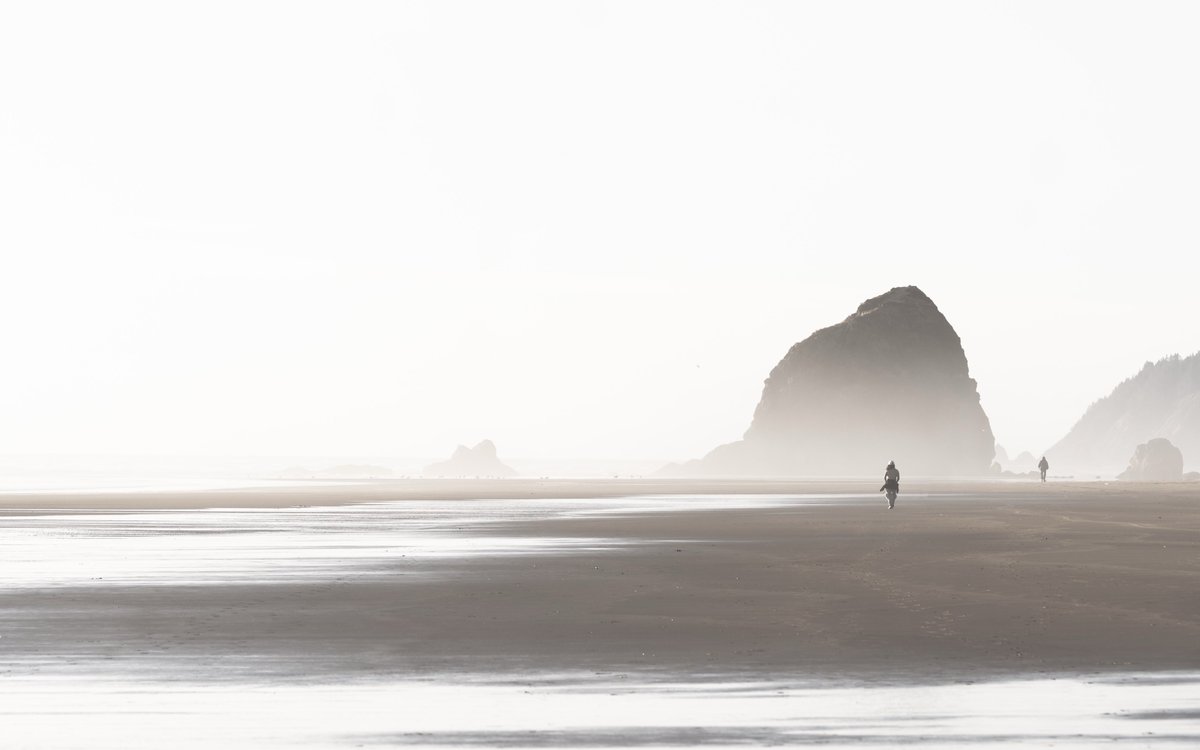 Joelle LB tweet media