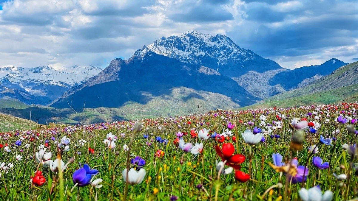 Duhok Buzz tweet media