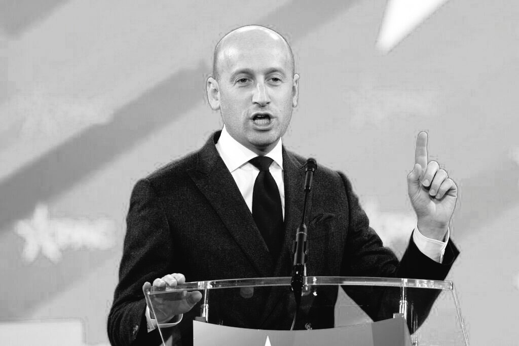 The Conservative Alternative tweet media