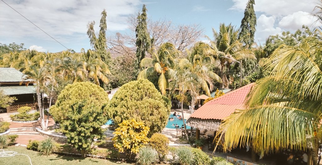 Cadejo Pardo tweet media