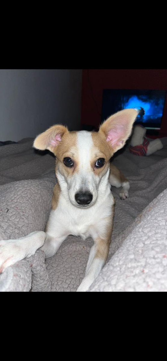 BelledeJour 💚 tweet media