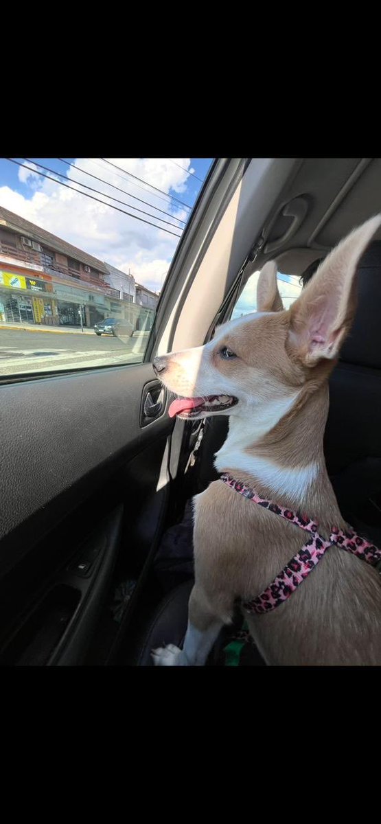 BelledeJour 💚 tweet media