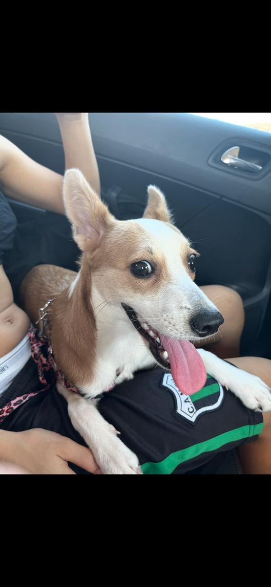 BelledeJour 💚 tweet media