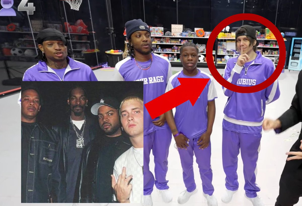 miados de gato tweet media