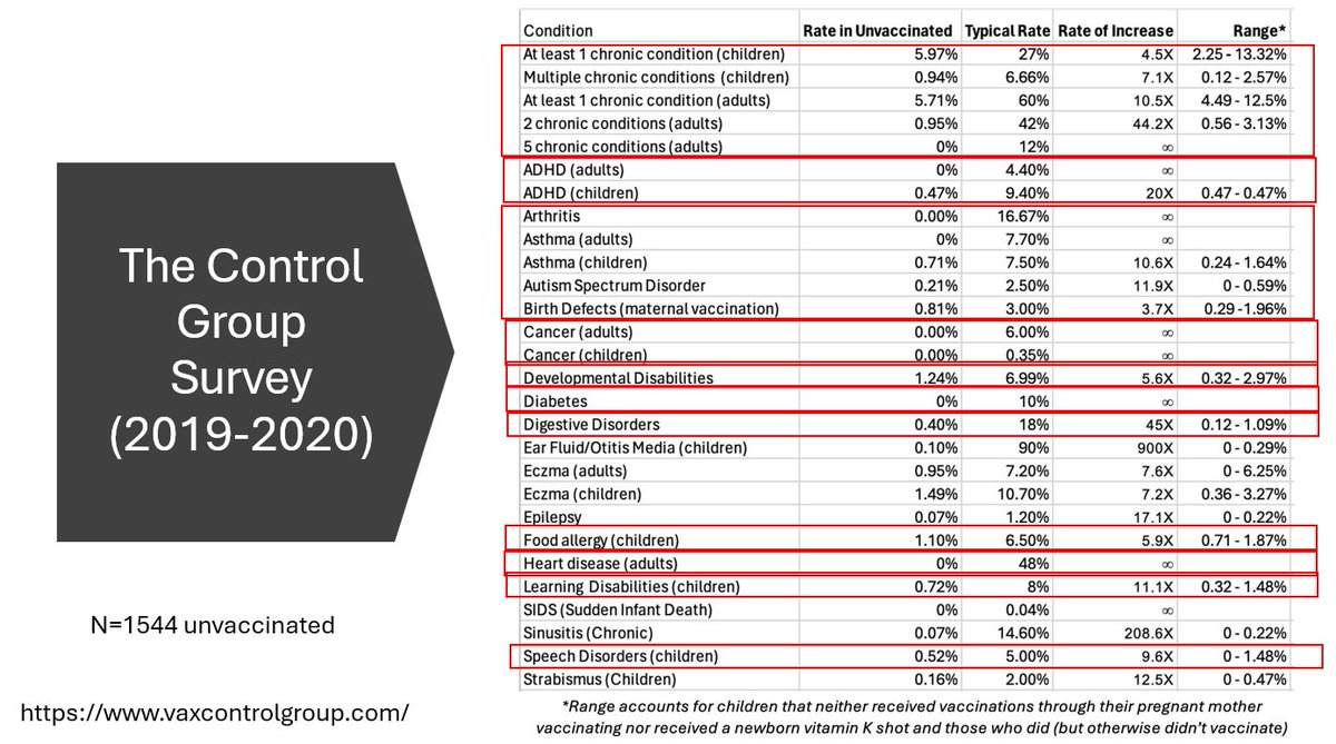 sashalatypova.substack.com "Due Diligence and Art" tweet media