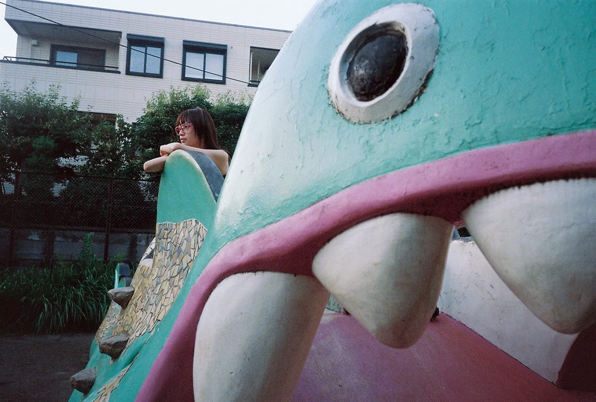 /ᐠ•｡•ᐟ\ tweet media