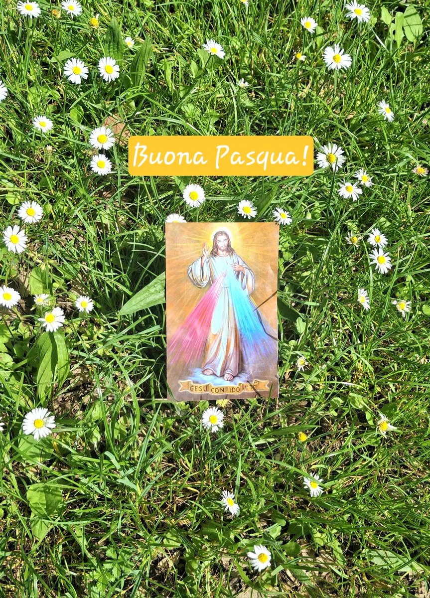 Giulia 😇 tweet media