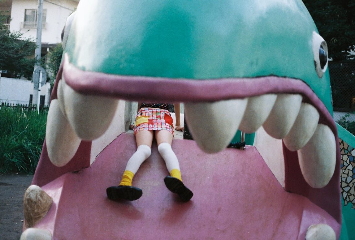 /ᐠ•｡•ᐟ\ tweet media