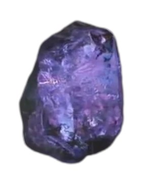 agetha the silly ( + others ) tweet media