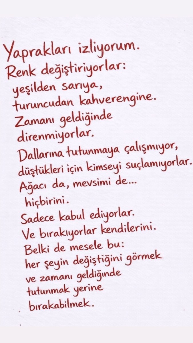 Selcen Suyadal tweet media