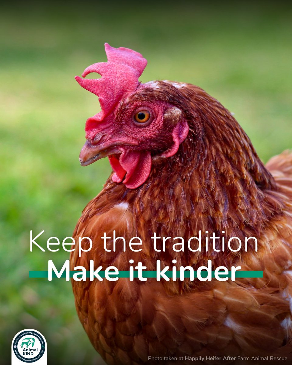 AnimalKIND tweet media