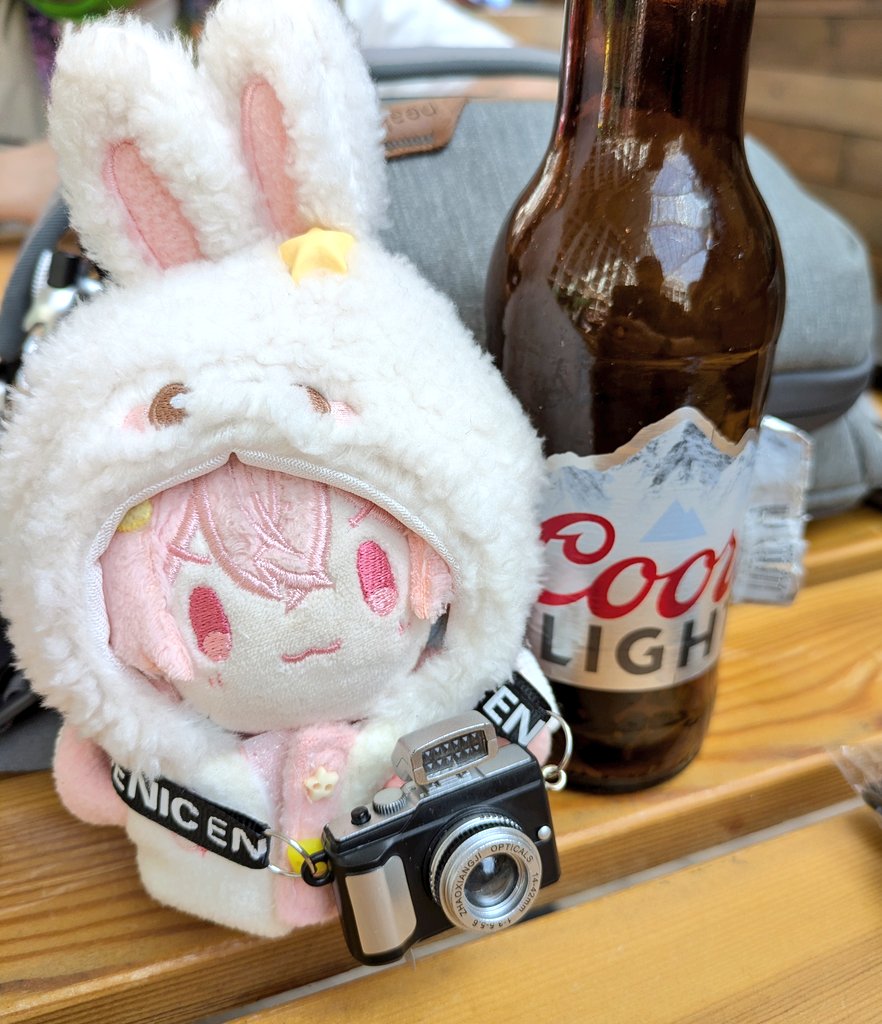 Paying $10 for a domestic