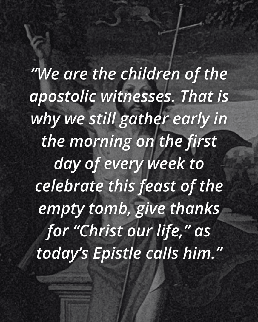 lacatholics's tweet photo. Even though Jesus is “nowhere visible,” the apostles Peter and John “saw and believed.” @drscotthahn explains the readings for #Easter on @angelusnews 👇

https://t.co/wkKu7BK9JN https://t.co/2YKvc0NjDV