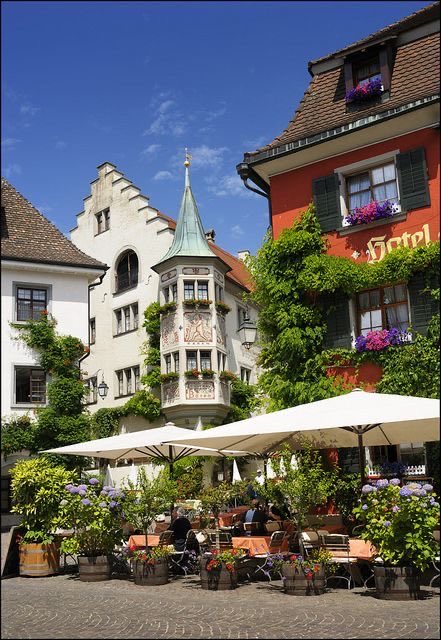 Lea 🌸🌿🕊️ tweet media