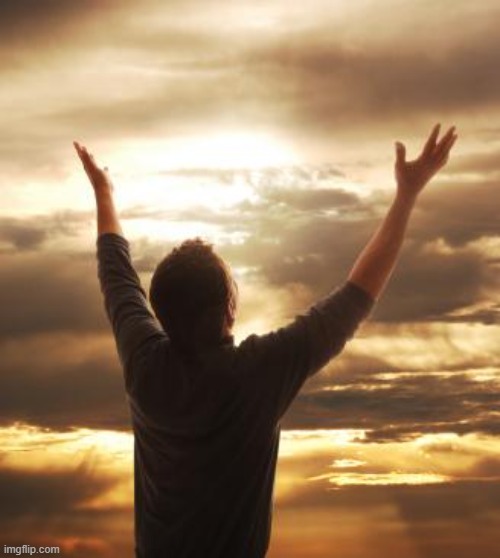 Vtuber Collector tweet media