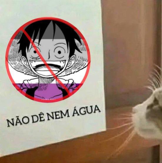 𝖏𝖊𝖓𝖓𝖎𝖊 ꩜ - lendo one piece ‘460 tweet media