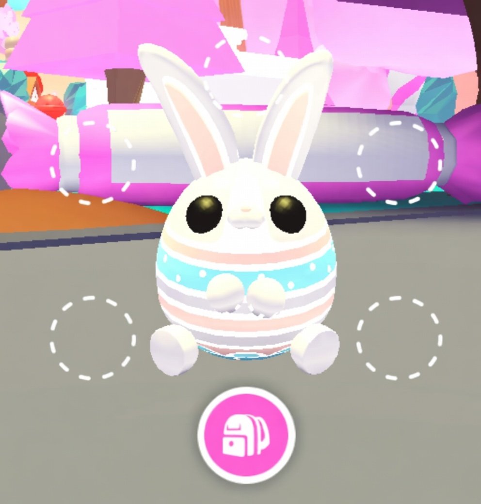 Bububear tweet media