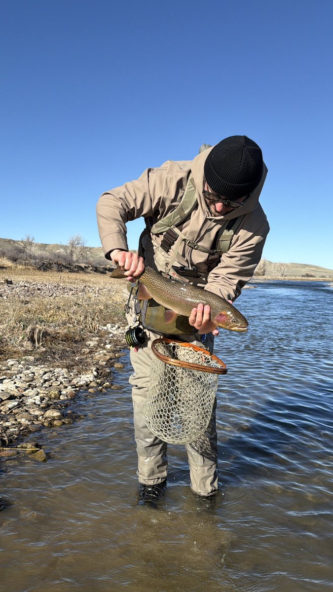 Bryson Webster tweet media