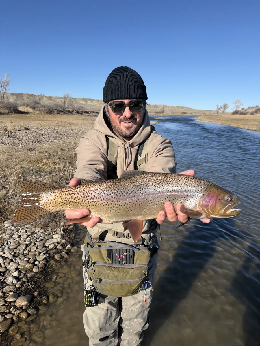 Bryson Webster tweet media